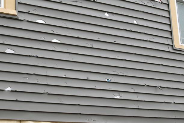 Best Historical Building Siding Restoration  in Chewelah, WA